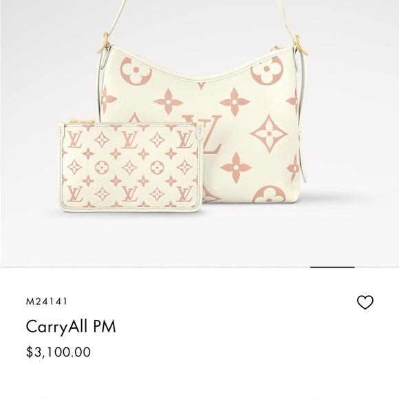 ✨RARE✨ pouch insert for the Louis Vuitton Carry All PM in Latte/Chamallow - Picture 13 of 15